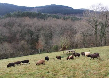 Vakantiehuizen in Spanje