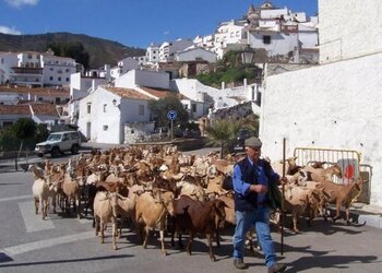 Vakantiehuizen in Spanje