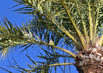 Vakantiehuizen in Spanje