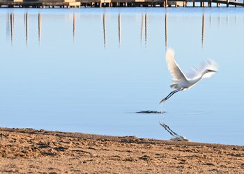 Vakantiehuizen in Spanje