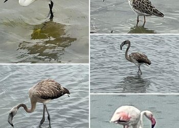 Vakantiehuizen in Spanje