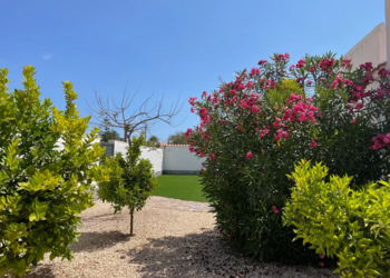 Vakantiehuizen in Spanje