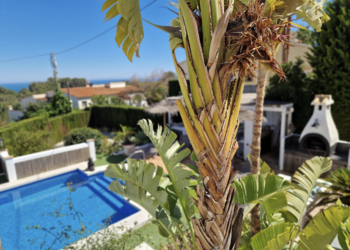 Vakantiehuizen in Spanje