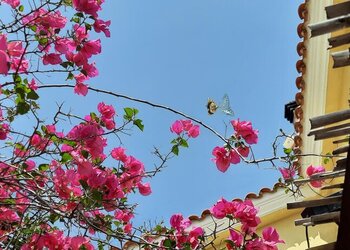 Vakantiehuizen in Spanje